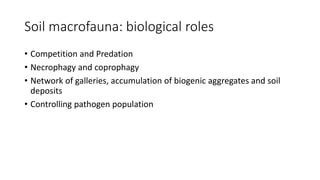 Soil macrofauna: biological roles
• Competition and Predation
• Necrophagy and coprophagy
• Network of galleries, accumulation of biogenic aggregates and soil
deposits
• Controlling pathogen population
 