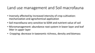 Land use management and Soil macrofauna
• Inversely affected by increased intensity of crop cultivation:
mechanization and agrochemical application
• Soil macrofauna very sensitive to SOM and nutrient value of soil
• Micromanagement: abundance root system in lower layer and leaf
litter in upper layer
• Cropping: decrease in taxonomic richness, density and biomass
 