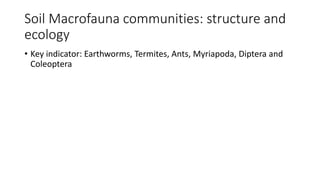 Soil Macrofauna communities: structure and
ecology
• Key indicator: Earthworms, Termites, Ants, Myriapoda, Diptera and
Coleoptera
 