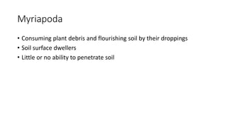 Myriapoda
• Consuming plant debris and flourishing soil by their droppings
• Soil surface dwellers
• Little or no ability to penetrate soil
 