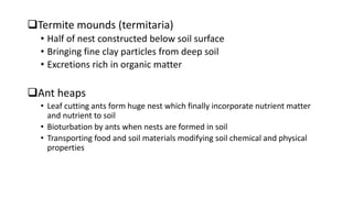 Termite mounds (termitaria)
• Half of nest constructed below soil surface
• Bringing fine clay particles from deep soil
• Excretions rich in organic matter
Ant heaps
• Leaf cutting ants form huge nest which finally incorporate nutrient matter
and nutrient to soil
• Bioturbation by ants when nests are formed in soil
• Transporting food and soil materials modifying soil chemical and physical
properties
 
