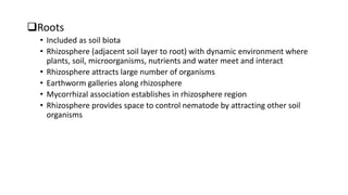 Roots
• Included as soil biota
• Rhizosphere (adjacent soil layer to root) with dynamic environment where
plants, soil, microorganisms, nutrients and water meet and interact
• Rhizosphere attracts large number of organisms
• Earthworm galleries along rhizosphere
• Mycorrhizal association establishes in rhizosphere region
• Rhizosphere provides space to control nematode by attracting other soil
organisms
 