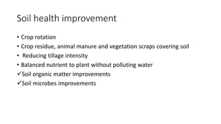 Soil health improvement
• Crop rotation
• Crop residue, animal manure and vegetation scraps covering soil
• Reducing tillage intensity
• Balanced nutrient to plant without polluting water
Soil organic matter improvements
Soil microbes improvements
 