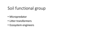 Soil functional group
• Micropredator
• Litter transformers
• Ecosystem engineers
 