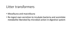 Litter transformers
• Mesofauna and macrofauna
• Re-ingest own secretion to incubate bacteria and assimilate
metabolite liberated by microbial action in digestive system
 