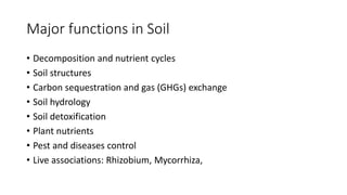 Major functions in Soil
• Decomposition and nutrient cycles
• Soil structures
• Carbon sequestration and gas (GHGs) exchange
• Soil hydrology
• Soil detoxification
• Plant nutrients
• Pest and diseases control
• Live associations: Rhizobium, Mycorrhiza,
 
