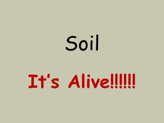 Soil
It’s Alive!!!!!!
 