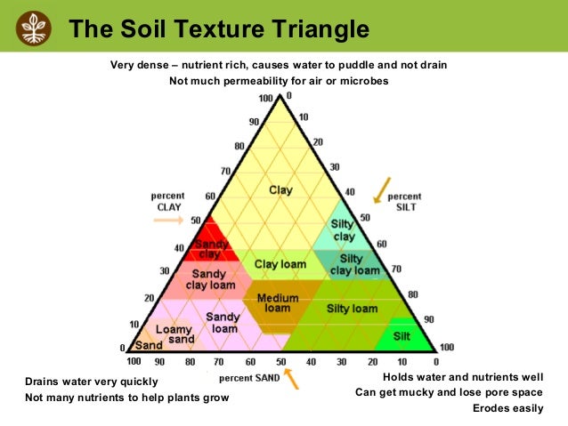Soil Biology