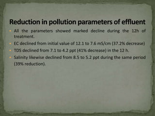  All the parameters showed marked decline during the 12h of
treatment.
 EC declined from initial value of 12.1 to 7.6 mS/cm (37.2% decrease)
 TDS declined from 7.1 to 4.2 ppt (41% decrease) in the 12 h.
 Salinity likewise declined from 8.5 to 5.2 ppt during the same period
(39% reduction).
 