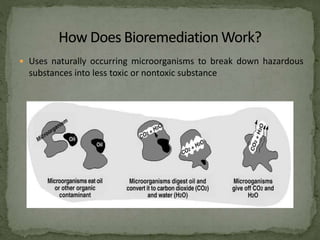  Uses naturally occurring microorganisms to break down hazardous
substances into less toxic or nontoxic substance
 