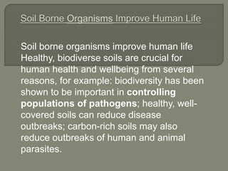 Soil borne organisms improve human life
Healthy, biodiverse soils are crucial for
human health and wellbeing from several
reasons, for example: biodiversity has been
shown to be important in controlling
populations of pathogens; healthy, well-
covered soils can reduce disease
outbreaks; carbon-rich soils may also
reduce outbreaks of human and animal
parasites.
 