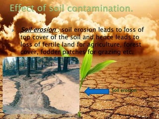  Soil erosion : soil erosion leads to loss of
top cover of the soil and hence leads to
loss of fertile land for agriculture, forest
cover, fodder patches for grazing etc.
Soil erosion
8/19/2015 14
 