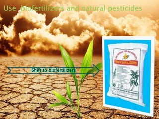 Use biofertilizers and natural pesticides
Shift to biofertilizers
8/19/2015 24
 