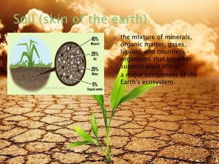  the mixture of minerals,
organic matter, gases,
liquids, and countless
organisms that together
support plant life
 a major component of the
Earth's ecosystem
8/19/2015 6
 