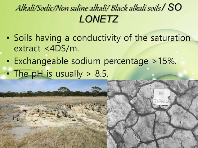 INTEGRATED APPROACH FOR MANAGEMENT OF SALINE AND SODIC SOILS BY SUPRIYA ...
