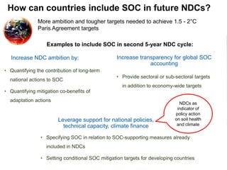 Soil carbon in the NDCs: Analysis results | SOC in NDCs webinar 2020