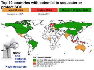 Soil carbon in the NDCs: Analysis results | SOC in NDCs webinar 2020