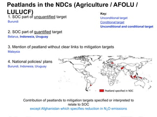 Soil carbon in the NDCs: Analysis results | SOC in NDCs webinar 2020