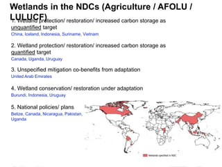 Soil carbon in the NDCs: Analysis results | SOC in NDCs webinar 2020