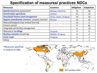 Soil carbon in the NDCs: Analysis results | SOC in NDCs webinar 2020