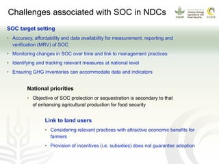 Soil carbon in the NDCs: Analysis results | SOC in NDCs webinar 2020