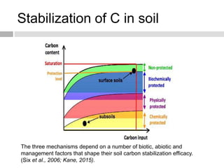Stabilization of C in soil
The three mechanisms depend on a number of biotic, abiotic and
management factors that shape their soil carbon stabilization efficacy.
(Six et al., 2006; Kane, 2015).
 