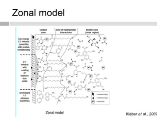 Zonal model
Kleber et al., 2007
 