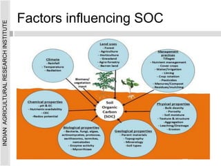 Factors influencing SOC
INDIAN
AGRICULTURAL
RESEARCH
INSTITUTE
 