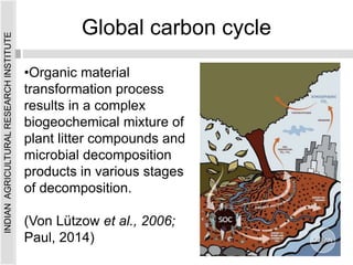 Global carbon cycle
•Organic material
transformation process
results in a complex
biogeochemical mixture of
plant litter compounds and
microbial decomposition
products in various stages
of decomposition.
(Von Lützow et al., 2006;
Paul, 2014)
INDIAN
AGRICULTURAL
RESEARCH
INSTITUTE
 