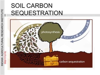 SOIL CARBON
SEQUESTRATION
INDIAN
AGRICULTURAL
RESEARCH
INSTITUTE
INDIAN
AGRICULTURAL
RESEARCH
INSTITUTE
 