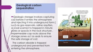 soil carbon seqestration pooja 14.pptx presentation | PPTX