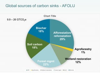 Global sources of carbon sinks - AFOLU
Afforestation/
reforestation
29%
Agroforestry
1%
Wetland restoration
12%Forest mgmt...