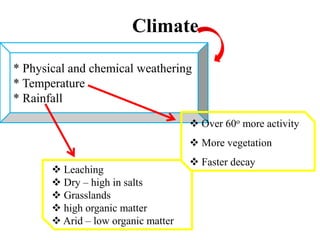 Climate Formation Nature of soil formation and types | PPTX