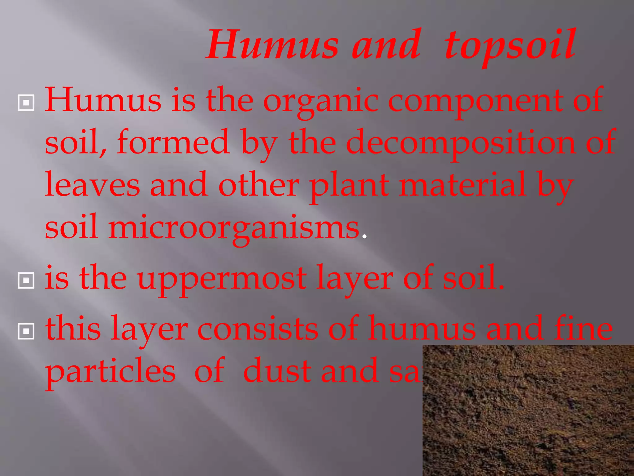 Soil FOR CLASS 7 AND ABOVE | PPTX