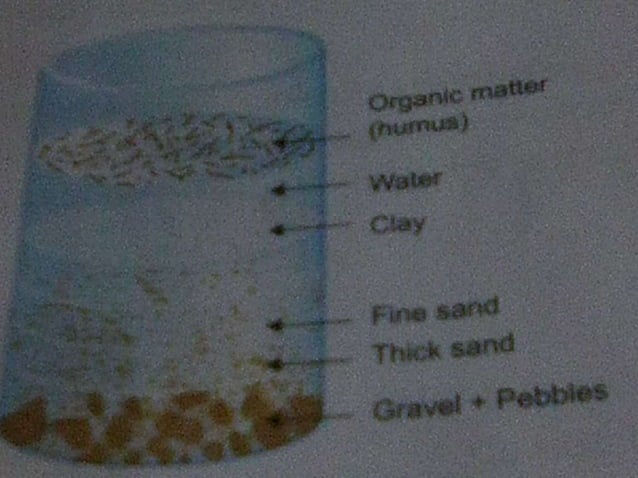 Soil FOR CLASS 7 AND ABOVE | PPTX