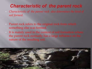 • Characteristic of the parent rock also determines the kind of
soil formed.
• Parent rock refers to the original rock from which
something else was formed.
• It is mainly used in the context of soil formation where
the parent rock normally has a large influence on the
nature of the resulting soil.
 