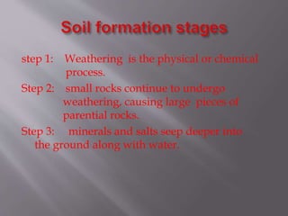 step 1: Weathering is the physical or chemical
process.
Step 2: small rocks continue to undergo
weathering, causing large pieces of
parential rocks.
Step 3: minerals and salts seep deeper into
the ground along with water.
 