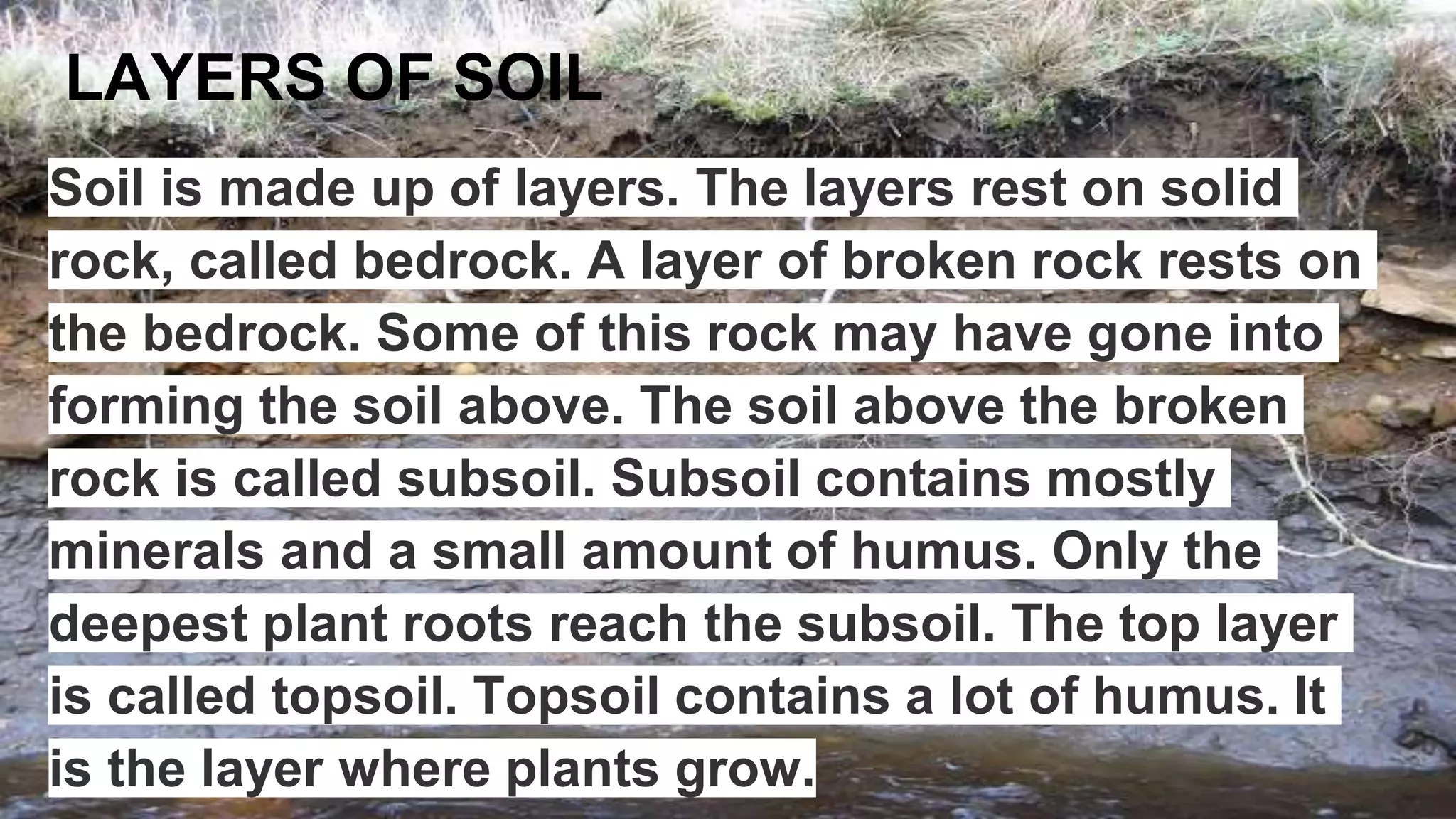 LAYERS OF SOIL
Soil is made up of layers. The layers rest on solid
rock, called bedrock. A layer of broken rock rests on
the bedrock. Some of this rock may have gone into
forming the soil above. The soil above the broken
rock is called subsoil. Subsoil contains mostly
minerals and a small amount of humus. Only the
deepest plant roots reach the subsoil. The top layer
is called topsoil. Topsoil contains a lot of humus. It
is the layer where plants grow.
 