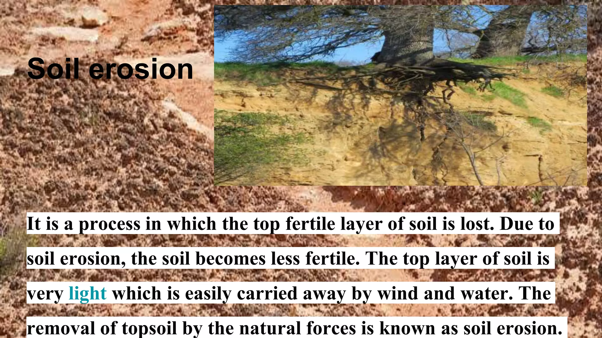 Soil erosion
It is a process in which the top fertile layer of soil is lost. Due to
soil erosion, the soil becomes less fertile. The top layer of soil is
very light which is easily carried away by wind and water. The
removal of topsoil by the natural forces is known as soil erosion.
 