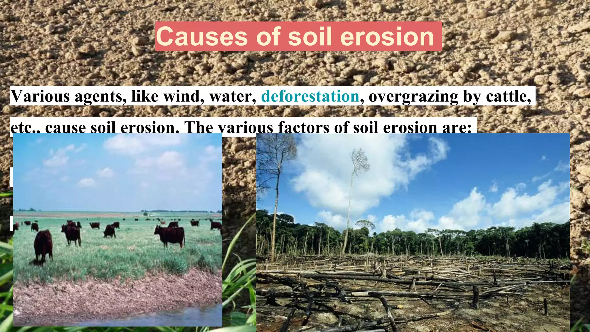 Causes of soil erosion
Various agents, like wind, water, deforestation, overgrazing by cattle,
etc., cause soil erosion. The various factors of soil erosion are:
 