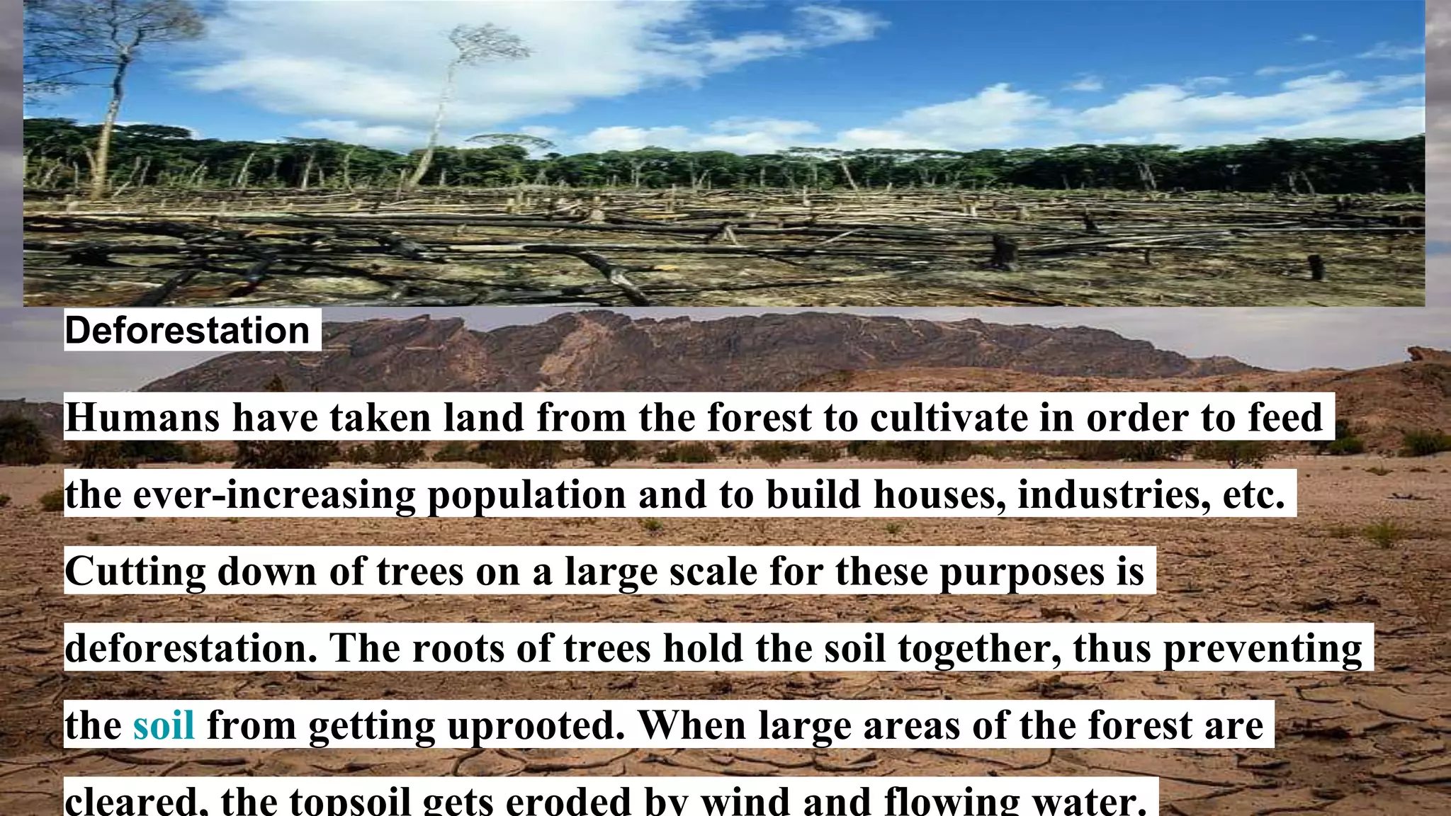 Deforestation
Humans have taken land from the forest to cultivate in order to feed
the ever-increasing population and to build houses, industries, etc.
Cutting down of trees on a large scale for these purposes is
deforestation. The roots of trees hold the soil together, thus preventing
the soil from getting uprooted. When large areas of the forest are
cleared, the topsoil gets eroded by wind and flowing water.
 