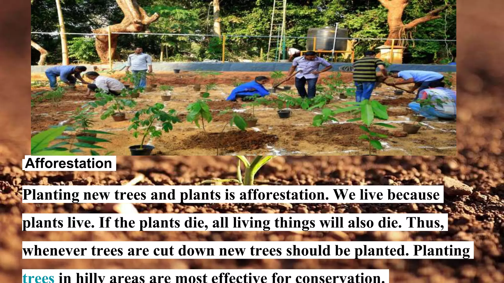 Afforestation
Planting new trees and plants is afforestation. We live because
plants live. If the plants die, all living things will also die. Thus,
whenever trees are cut down new trees should be planted. Planting
 