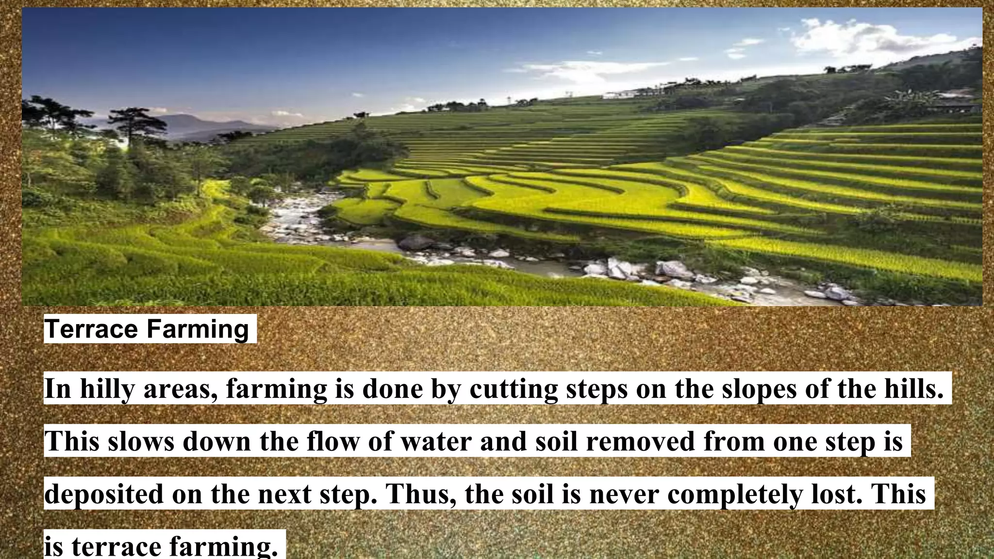 Terrace Farming
In hilly areas, farming is done by cutting steps on the slopes of the hills.
This slows down the flow of water and soil removed from one step is
deposited on the next step. Thus, the soil is never completely lost. This
is terrace farming.
 