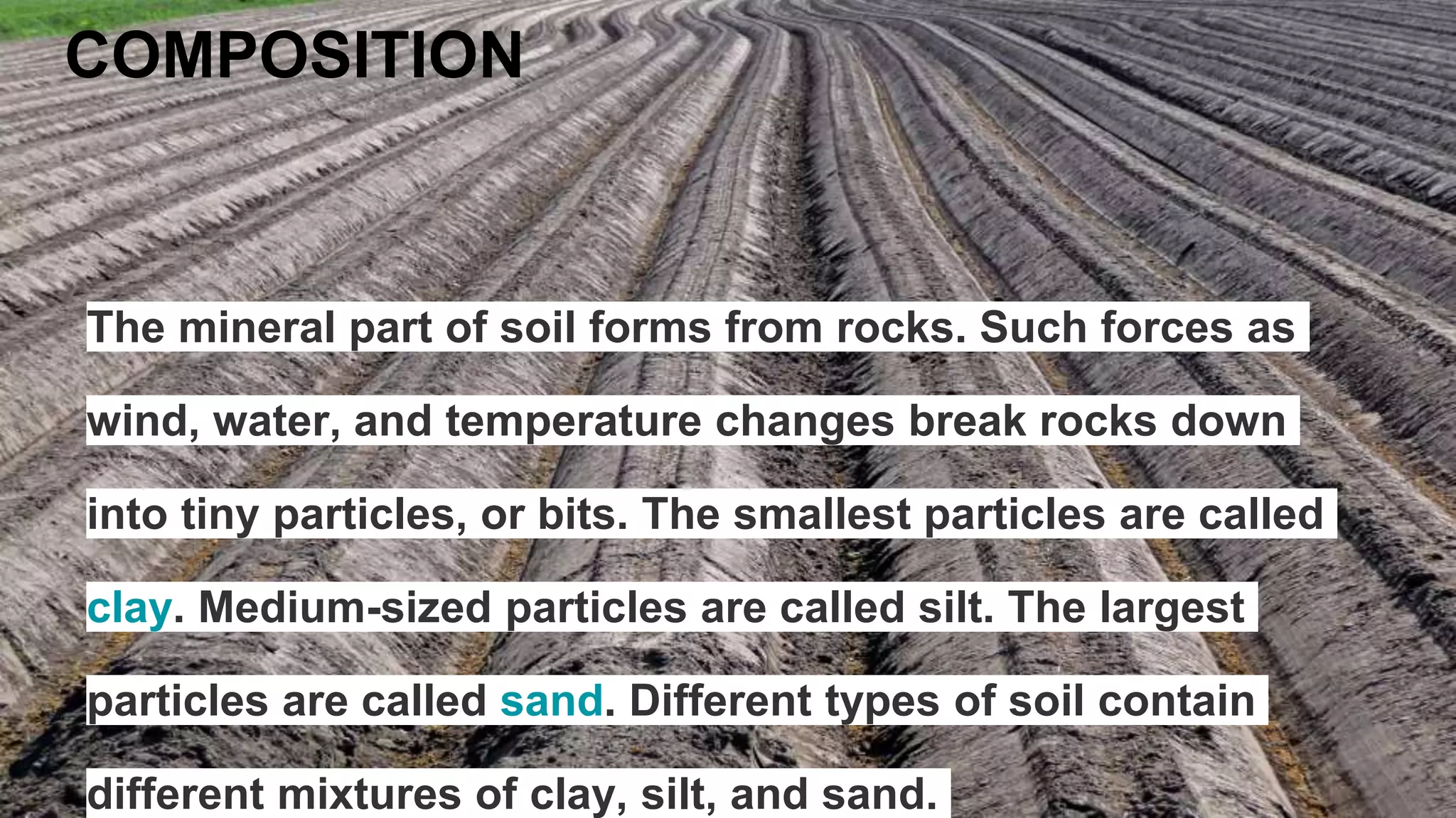 The mineral part of soil forms from rocks. Such forces as
wind, water, and temperature changes break rocks down
into tiny particles, or bits. The smallest particles are called
clay. Medium-sized particles are called silt. The largest
particles are called sand. Different types of soil contain
different mixtures of clay, silt, and sand.
COMPOSITION
 