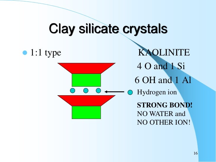 Soil colloidal chemistry