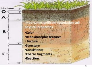 Definition of vascular tissue 
Vascular tissue: is a complex 
conducting tissue, formed of more than 
one cell type, found in vascular plants. The 
primary components of vascular tissue are 
the xylem and phloem. 
6 
Important/significant foundation soil 
physical properties 
•Color 
•Redoximorphic features 
• Texture 
•Structure 
•Consistence 
•Coarse fragments 
•Reaction 
 