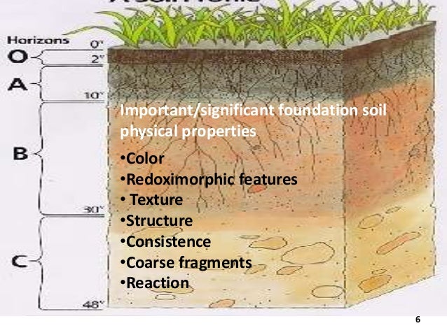 of xylem composition colour Soil of xylem composition colour Soil