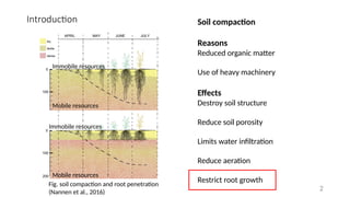 Soil compaction and root penetration.pptx
