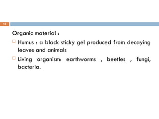 Organic material :
 Humus : a black sticky gel produced from decaying
leaves and animals
 Living organism: earthworms , beetles , fungi,
bacteria.
13
 