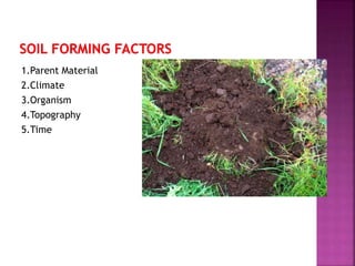 1.Parent Material
2.Climate
3.Organism
4.Topography
5.Time
 